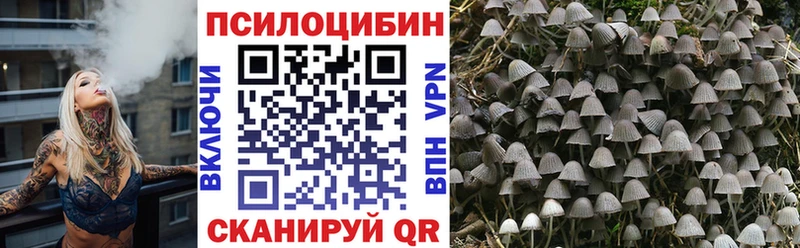 как найти закладки  Суджа  мега tor  Галлюциногенные грибы Magic Shrooms 